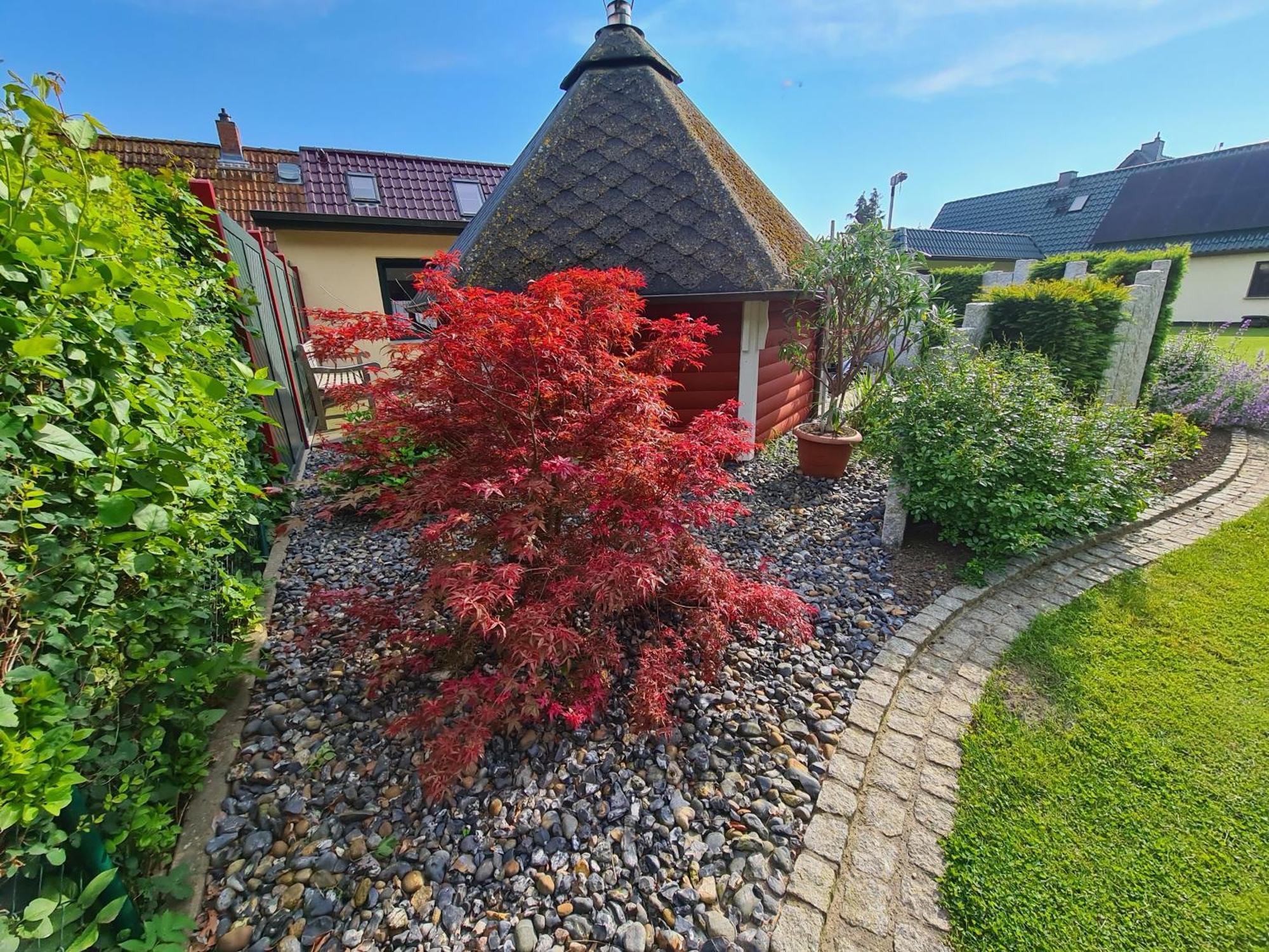 Ferienhaus Saupe Schaprode Exterior foto
